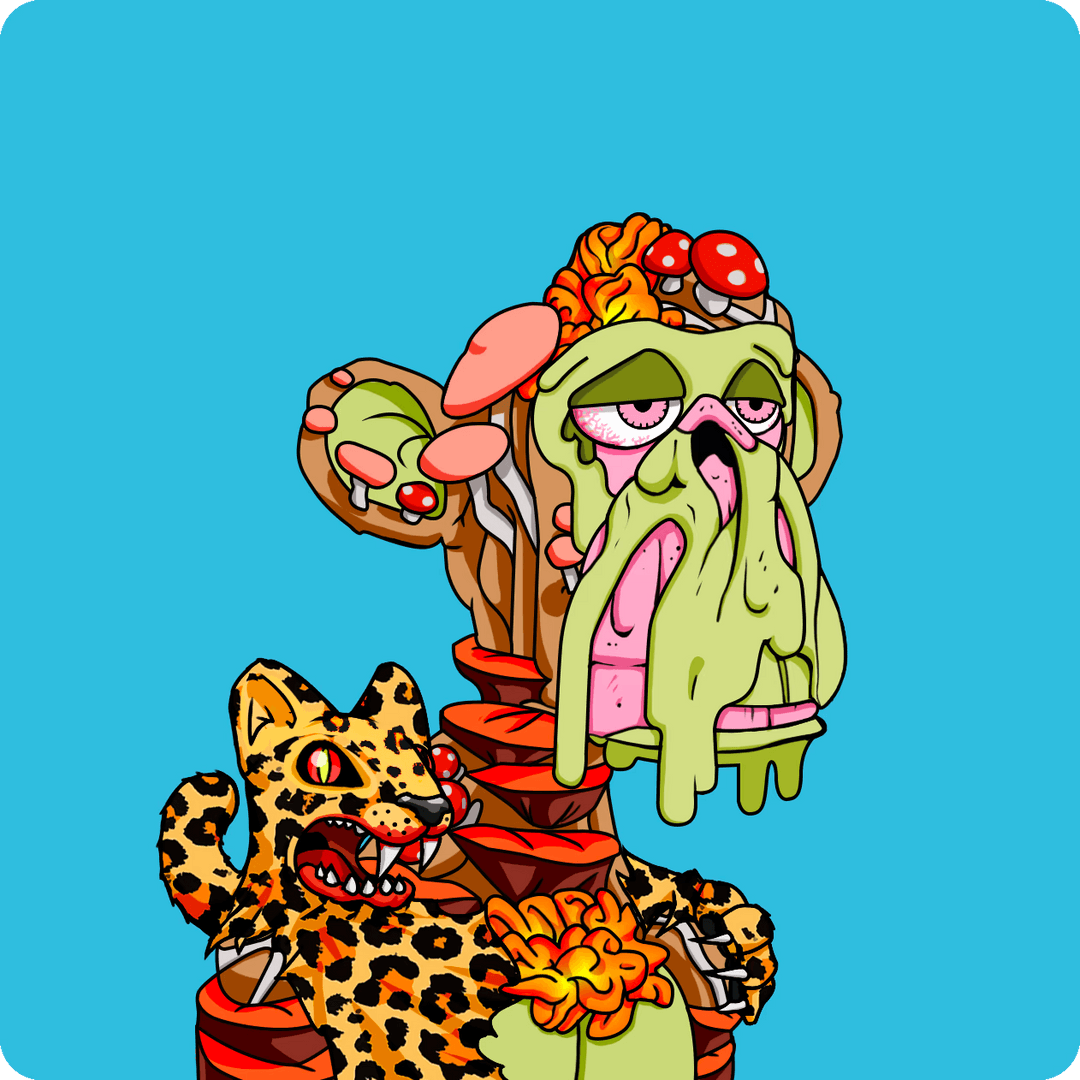 Novel Labs Broadcast Station